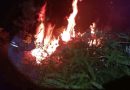 Kebakaran Lahan di Tanjung Uban Utara, ½ Hektare Semak Belukar Terbakar