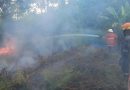 Setengah Hektare Lahan Terbakar di Teluk Lobam, Petugas dan Warga Bergerak Cepat Padamkan Api