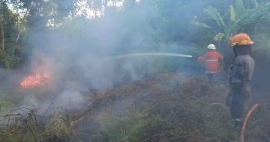 Setengah Hektare Lahan Terbakar di Teluk Lobam, Petugas dan Warga Bergerak Cepat Padamkan Api