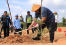 Upaya Rehabilitasi Lahan, Bupati Roby Tanam Pohon Ketapang Kencana di Kawasan Embung DAS Kawal