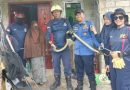 Ular King Cobra Sepanjang 2 Meter Dievakuasi dari Ruang Tamu Warga di Bintan Utara