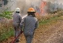 Kebakaran Lahan ±2 Hektare Terjadi di Area PT SBP Lobam, Petugas dan Masyarakat Turun Tangan