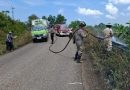 Kebakaran Lahan Terjadi di Sebong Pereh, ±1 Hektare Terbakar