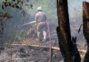 Kebakaran Lahan di Desa Sebong Pereh, ±¼ Hektare Terbakar