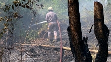 Kebakaran Lahan di Desa Sebong Pereh, ±¼ Hektare Terbakar