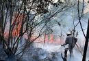 Kebakaran Lahan di Desa Busung, ±1 Hektare Semak Belukar Terbakar