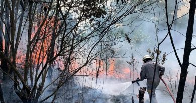 Kebakaran Lahan di Desa Busung, ±1 Hektare Semak Belukar Terbakar