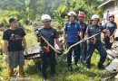 Damkar Bintan Evakuasi Ular Phyton Sepanjang 2 Meter di Tanjung Uban