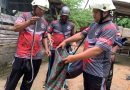Damkar Bintan Evakuasi Ular Cobra di Tanjung Uban Selatan