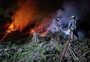 Kebakaran Lahan di Desa Sebong Pereh, ¼ Hektare Semak Belukar Hangus