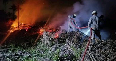 Kebakaran Lahan di Desa Sebong Pereh, ¼ Hektare Semak Belukar Hangus