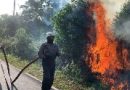Kebakaran Lahan di Desa Lancang Kuning Hanguskan ±1 Hektare Semak Belukar