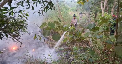 Kebakaran Semak di Tanjung Uban, Damkar Berhasil Padamkan Api dalam 30 Menit