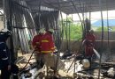 Kebakaran Ruko Mie Aceh Jumbo di Teluk Lobam, Petugas Gabungan Bergerak Cepat Padamkan Api