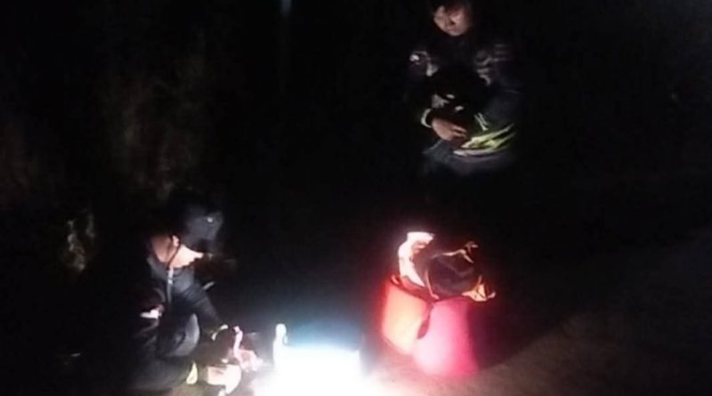 Damkar Tanjung Uban Evakuasi Sarang Tawon Vespa di Sebong Pereh, Tiga Warga Alami Sengatan