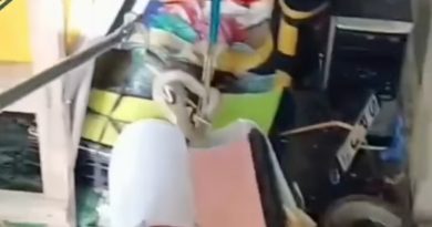 Damkar Lingga Tangani Evakuasi Ular Kobra di Sawin, Respons Cepat Selamatkan Warga