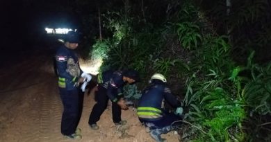 Damkar Tanjung Uban Evakuasi Sarang Tawon Vespa di Permukiman, Warga Lega Setelah Aksi Cepat Petugas