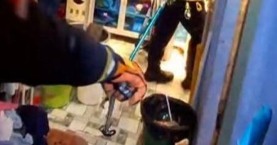 Damkar Evakuasi Ular Cobra yang Masuk Kamar Tidur Anak di Tanjung Permai