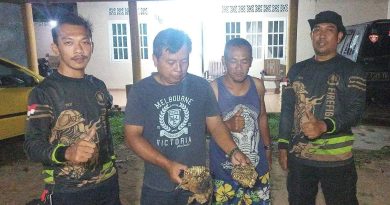 Damkar Bintan Evakuasi Sarang Tawon Vespa di Sei Kecil, Warga Apresiasi Tindakan Cepat Petugas