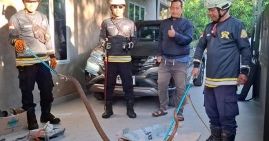 Damkar Tanjung Uban Evakuasi Ular King Cobra Sepanjang 2 Meter dari Garasi Warga