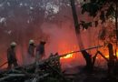 Kebakaran Lahan Terjadi di Tanjung Uban Utara, Api Berhasil Dipadamkan Kurang dari 30 Menit