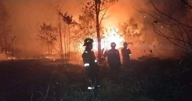 Kebakaran Lahan di Sebong Pereh Hanguskan ±1 Hektare, Warga Lakukan Pemadaman Manual