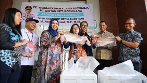 PT Bintan Intan Gemilang Ekspor Fillet Ikan Anggoli ke Australia