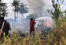 Kebakaran Lahan di Pengudang Hanguskan Sekitar 10 Hektare Semak Belukar