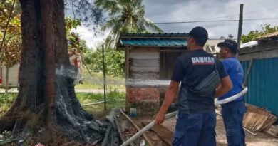 Respon Cepat Damkar Lingga Padamkan Kebakaran Pohon di Pantai Batu Berdaun