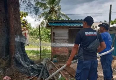 Respon Cepat Damkar Lingga Padamkan Kebakaran Pohon di Pantai Batu Berdaun