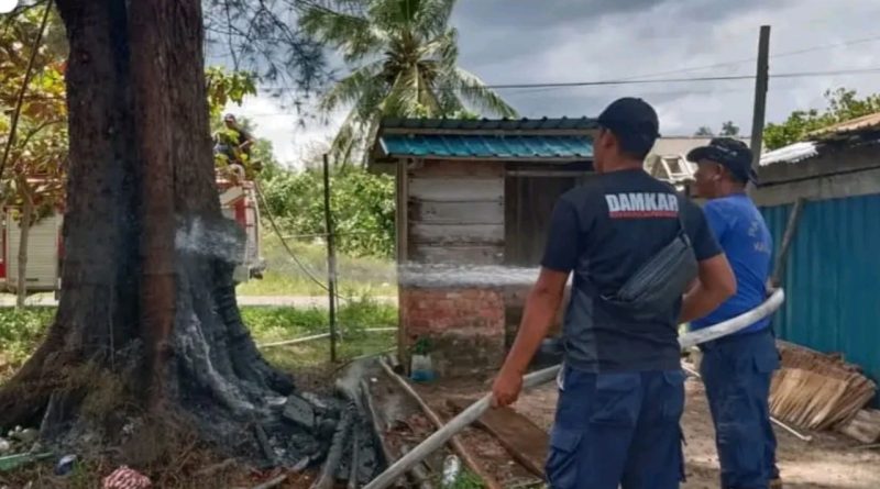 Respon Cepat Damkar Lingga Padamkan Kebakaran Pohon di Pantai Batu Berdaun