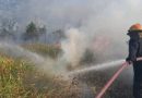 Kebakaran Lahan di Teluk Lobam Berhasil Dipadamkan, Setengah Hektare Semak Terbakar