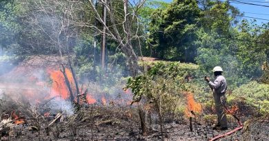 Lahan Semak Belukar di Bukit Lababa Tanjung Uban Terbakar, Warga Sempat Panik