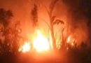Kebakaran Lahan di Tanjung Uban Selatan, Warga dan Damkar Sigap Padamkan Api