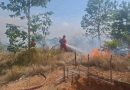 Kebakaran Lahan 14 Hektare di Telok Sebong, Api Masih Sulit Dijangkau