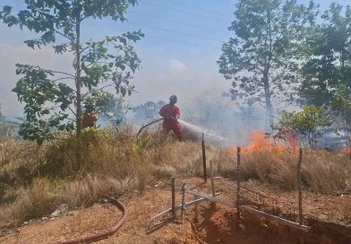 Kebakaran Lahan 14 Hektare di Telok Sebong, Api Masih Sulit Dijangkau