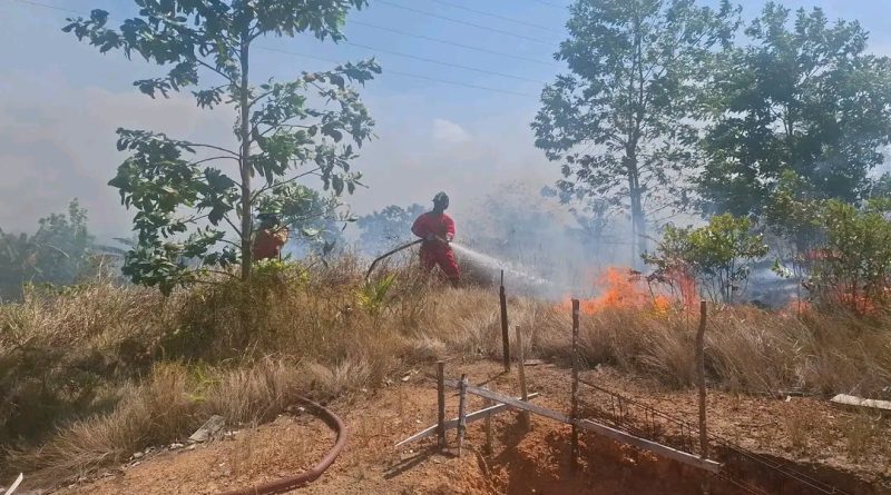 Kebakaran Lahan 14 Hektare di Telok Sebong, Api Masih Sulit Dijangkau