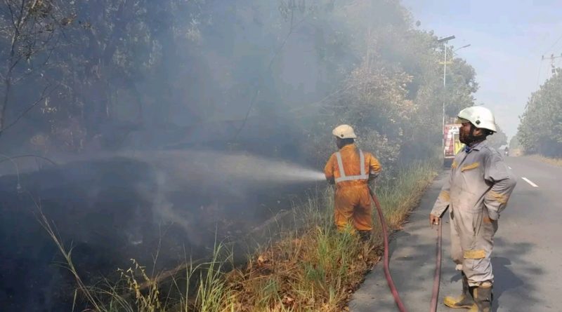 Kebakaran Lahan 1,5 Hektare di Sebong Pereh, Warga dan Satgas Bergerak Cepat Padamkan Api