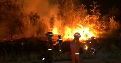 Kebakaran Lahan 5 Hektare di Tanjung Uban Selatan, Petugas dan Warga Berjibaku Hingga Malam