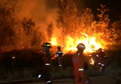 Kebakaran Lahan 5 Hektare di Tanjung Uban Selatan, Petugas dan Warga Berjibaku Hingga Malam
