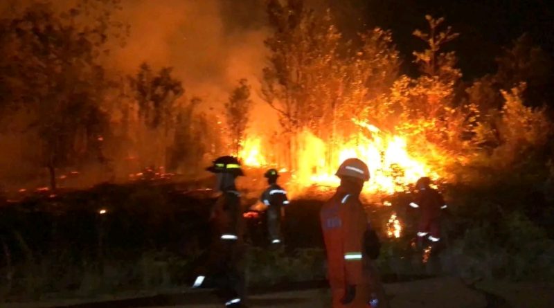 Kebakaran Lahan 5 Hektare di Tanjung Uban Selatan, Petugas dan Warga Berjibaku Hingga Malam