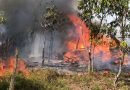Kebakaran Lahan di Kampung Bugis Hanguskan ±1 Hektare, Diduga Akibat Bakar Sampah