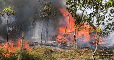 Kebakaran Lahan di Kampung Bugis Hanguskan ±1 Hektare, Diduga Akibat Bakar Sampah