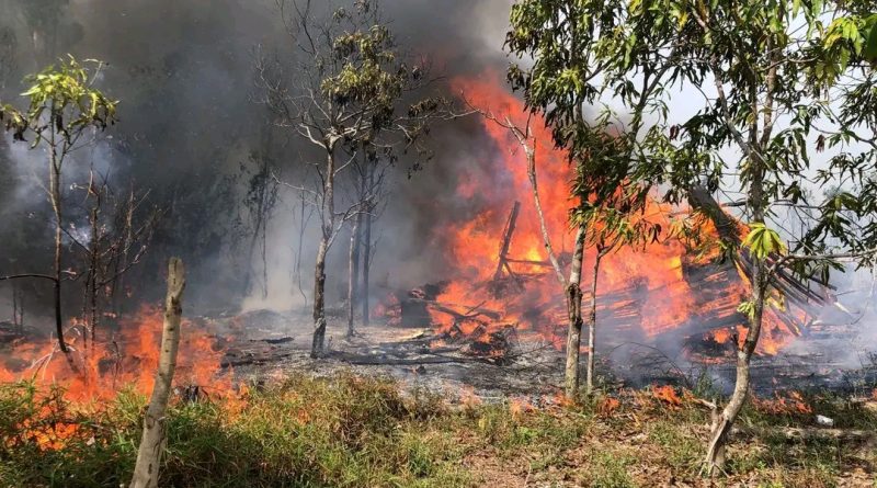 Kebakaran Lahan di Kampung Bugis Hanguskan ±1 Hektare, Diduga Akibat Bakar Sampah