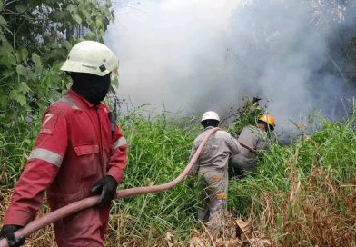 Kebakaran Lahan Gambut di Tanjung Uban Hanguskan ±1 Hektare, Warga Sempat Khawatir Api Meluas