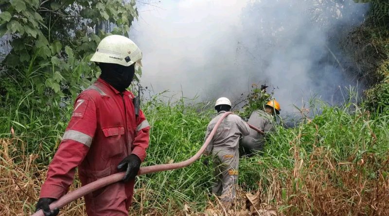 Kebakaran Lahan Gambut di Tanjung Uban Hanguskan ±1 Hektare, Warga Sempat Khawatir Api Meluas