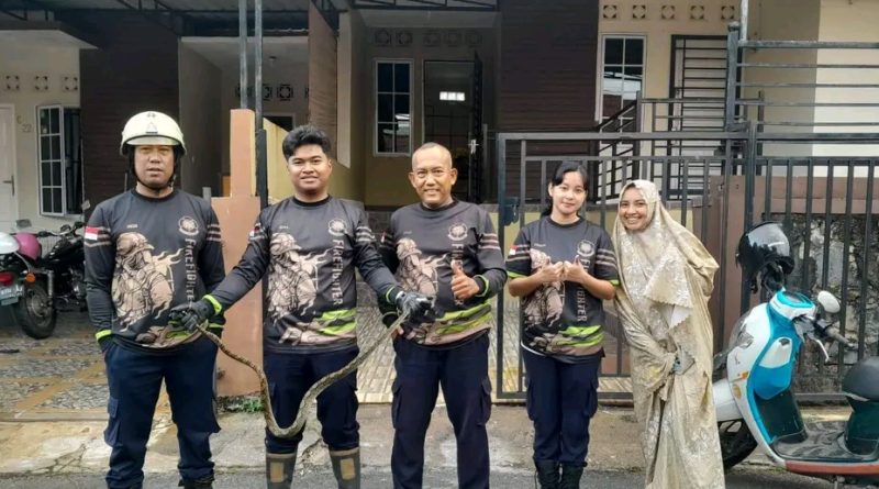 Ular Sawah 1,5 Meter Gegerkan Warga Citra Onyx, Damkar Gerak Cepat Evakuasi