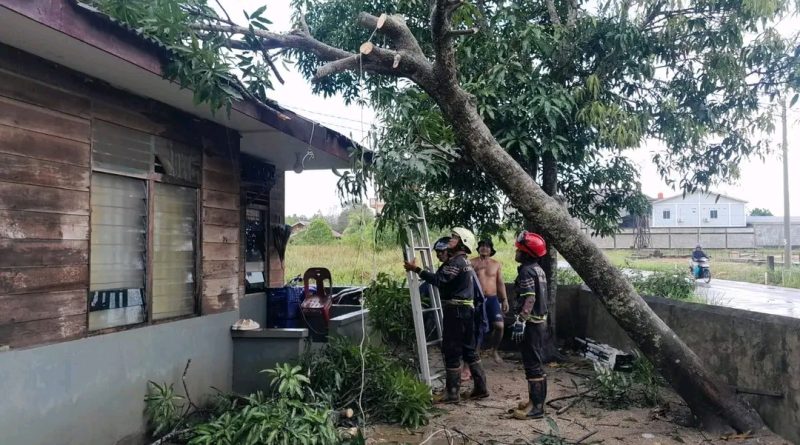Respons Cepat, Damkar Tanjung Uban Evakuasi Pohon Tumbang Timpa Rumah Warga