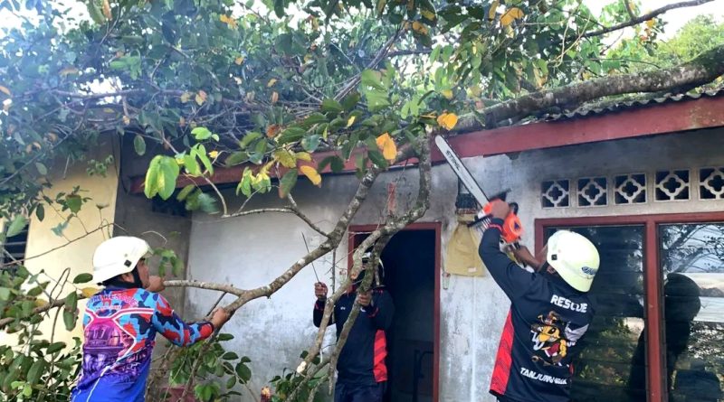 Pohon Tumbang Hantam Rumah Warga di Tanjung Uban, Damkar Bergerak Cepat