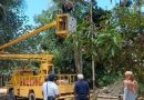 Bupati Bintan Komitmen Tambah Lampu Jalan, Prioritaskan Keselamatan Warga